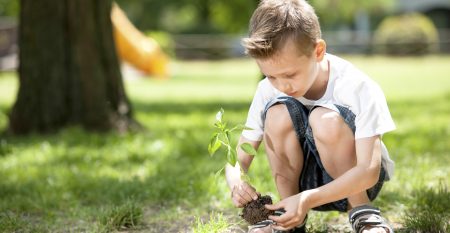 education WordPress theme – tree planting event education WordPress theme